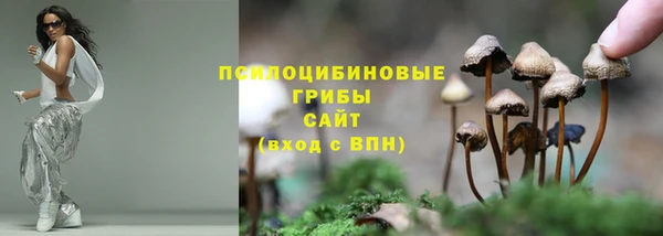 гашиш Снежногорск