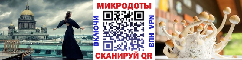 Купить закладки  Когалым  Псилоцибиновые грибы Psilocybine cubensis 